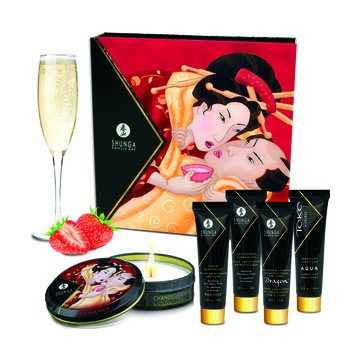 SHUNGA COLECCIÓN GEISHA...